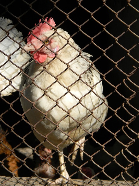 獲得更穩定 獲得更穩定