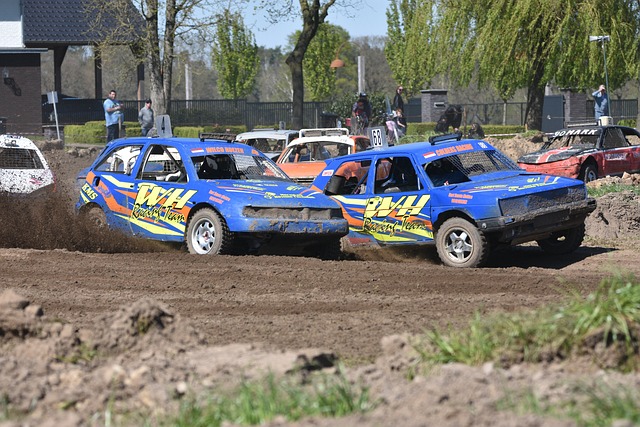 津门虎需要 津门虎需要