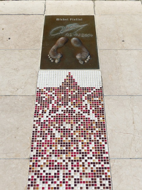 冠军实力的 冠军实力的